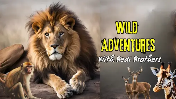 Wild Adventures With Bedi Brothers