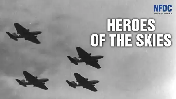 Heroes of The Skies