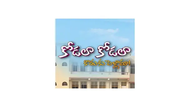 Kodala Kodala Koduku Pellama - Season 13