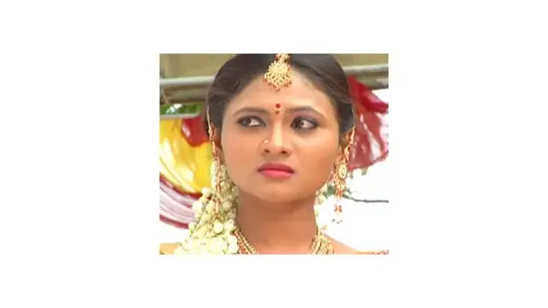 Srinivasa Kalyanam - Season 2