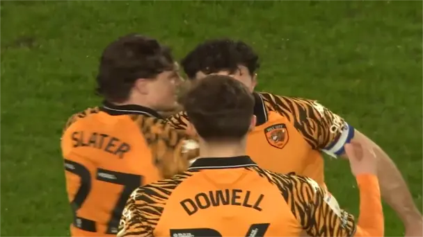 Hull City 2-1 Swansea City A.F.C. | Round 29