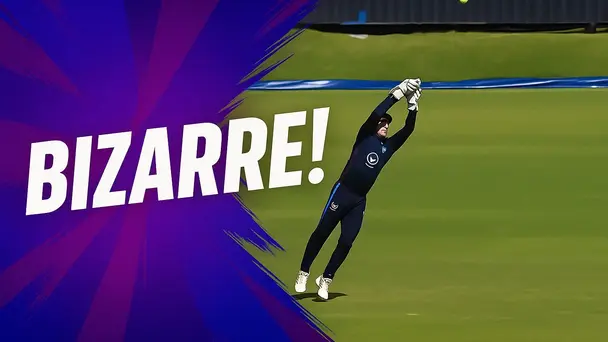 BIZARRE! Witness the catch that needed two fielders