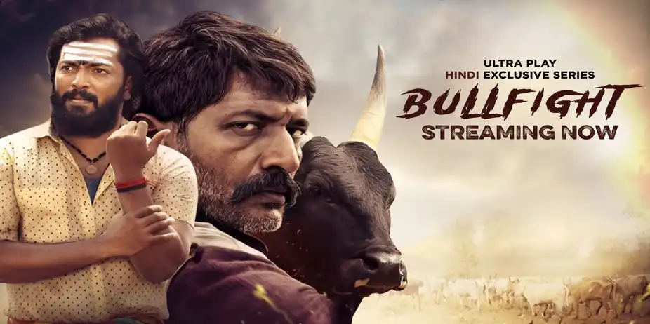 Bullfight