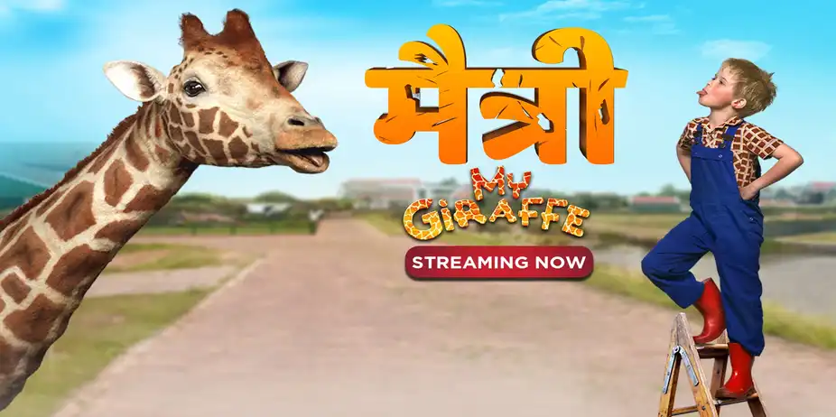 Maitri - My Giraffe