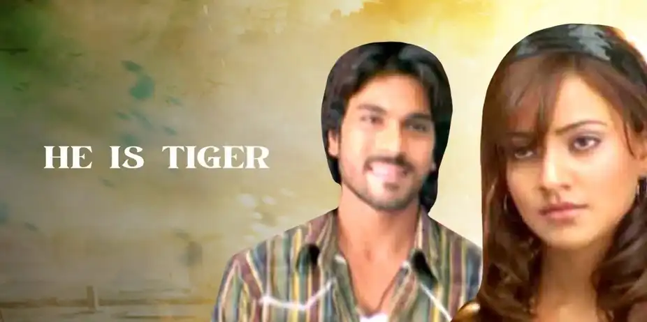 He Is Tiger