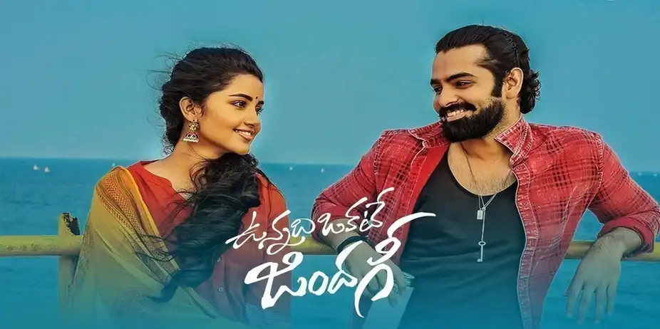 Vunnadhi Okate Zindagi