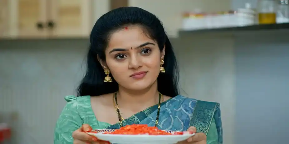 Kudumbasametham S1 E486 - Sameera Accuses Darshan