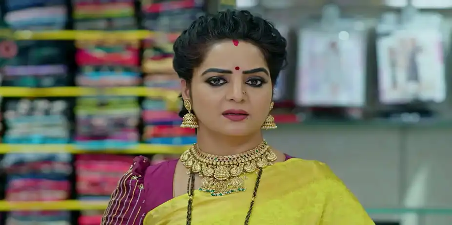 Kudumbasametham S1 E489 - Ananda Bhairavi's Clever Move!
