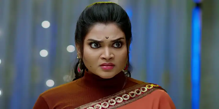 Aval Varuvala S1 E541 - A Mishap Befalls Bhaskar
