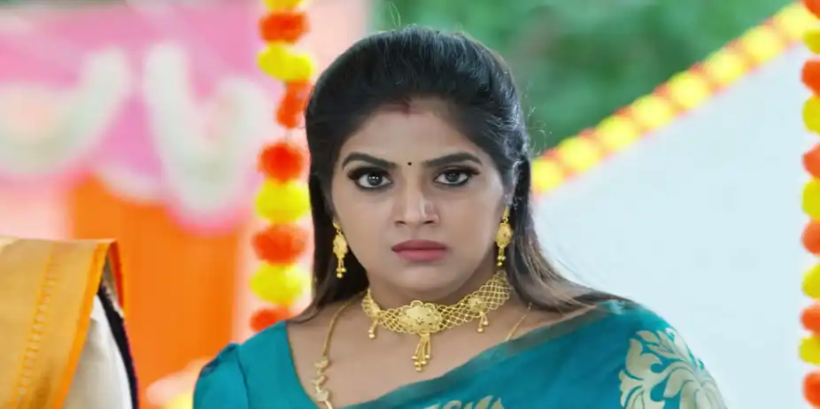 Paarijatham S1 E249 - Adhilakshmi Recalls Her Humiliation