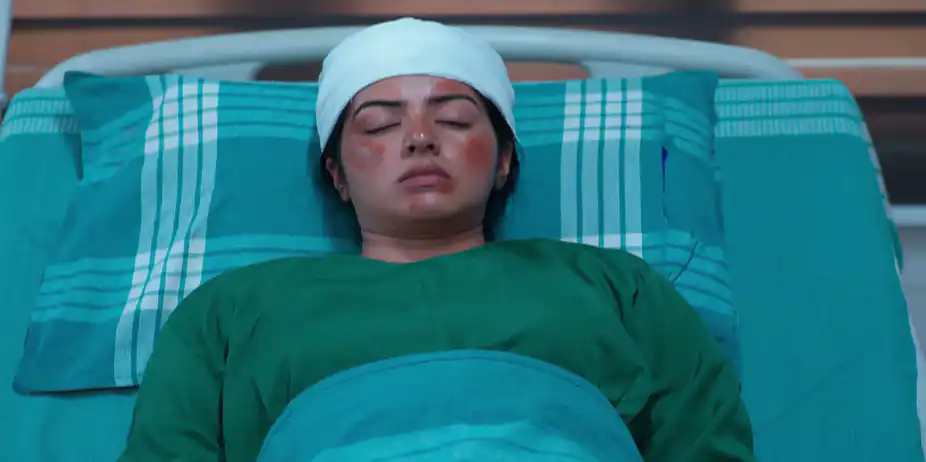 KrishnaGadha - July 12, 2026 - Episode Spoiler