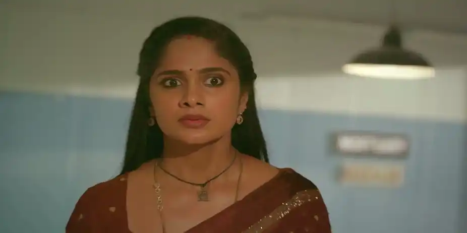 Ayali - July 24, 2026 - Webisode