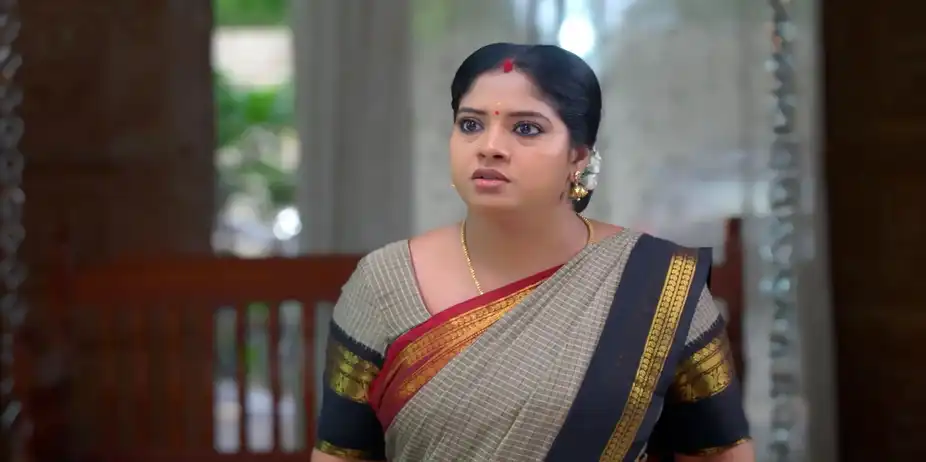 Sandhya Raagam - July 29, 2026 - Webisode
