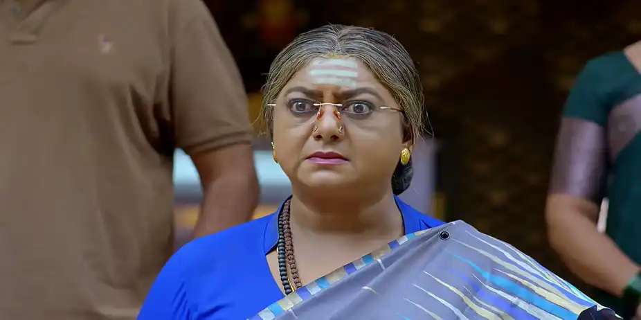 Dheerga Sumangali Bhava - July 28, 2026 - Webisode