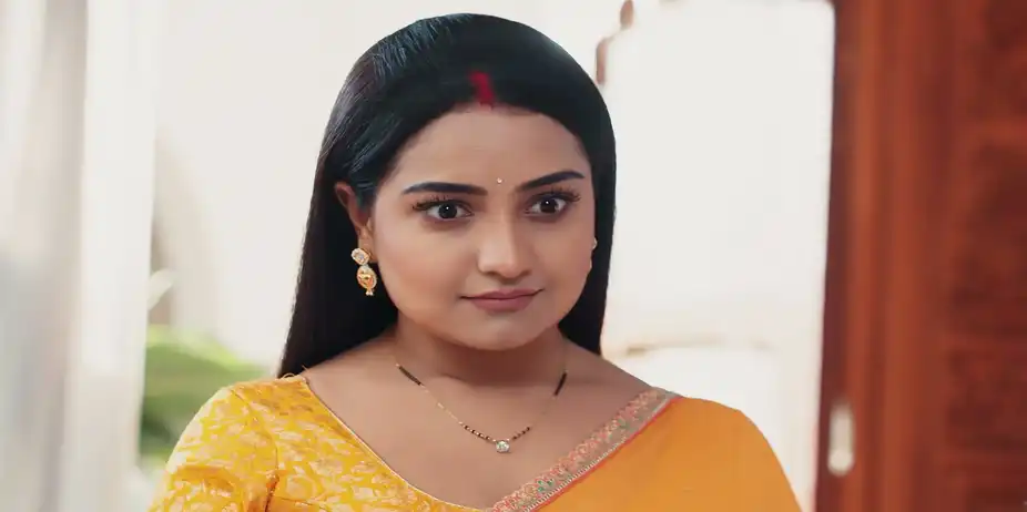 Lakshmi Nivas S1 E243 - Will Radhika Read Veer's Confession Letter?