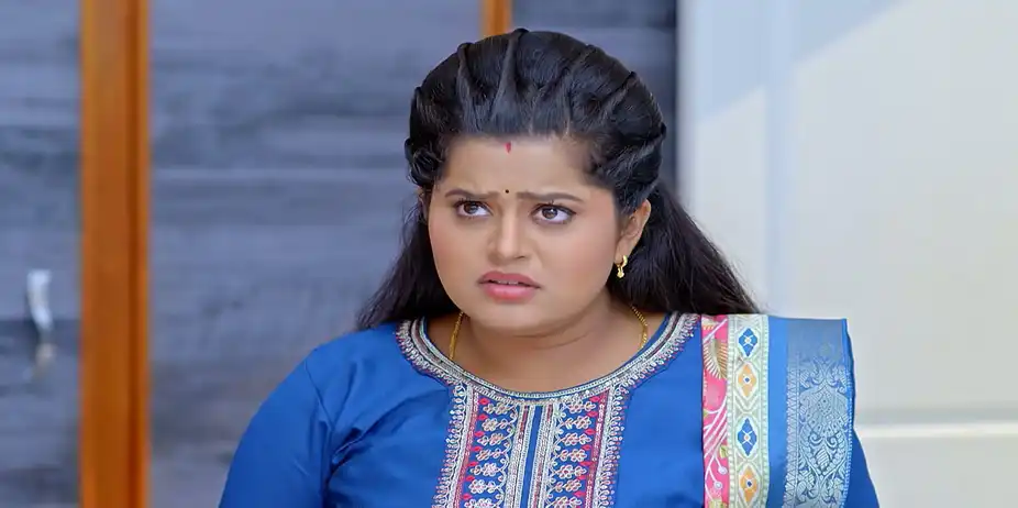 Gundamma Katha S1 E2520 - A Talking Mosquito Stuns Charan
