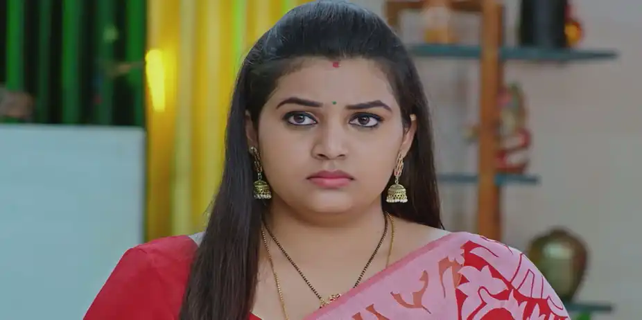 Ashwathi Nakshatram S1 E729 - Akshaya Is Accused of Stealing