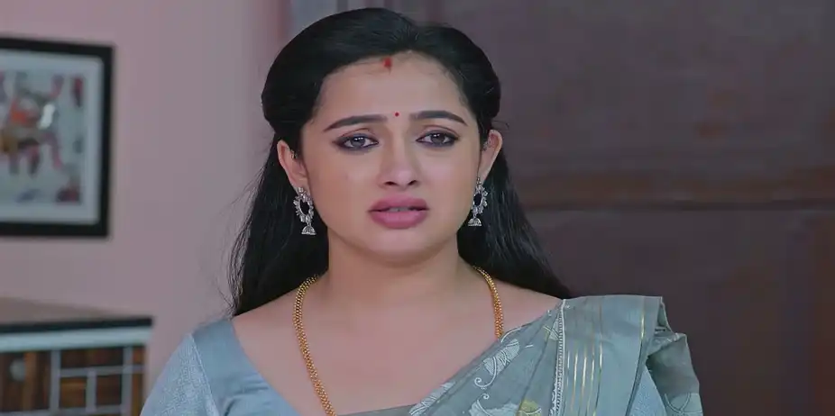 Ashwathi Nakshatram S1 E730 - Bandu's Plan Against Akshaya
