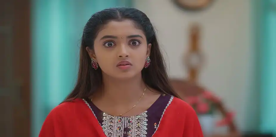 Meghasandhesham S1 E382 - Pooja and Udhay's Marriage Is Fixed