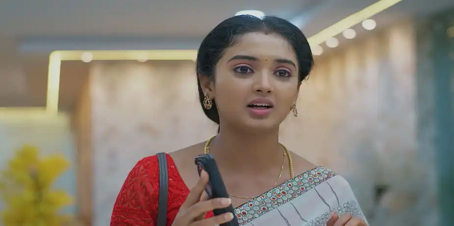 Meghasandesha S1 E683 - Bhoomi Grows Emotional on Seeing Akash