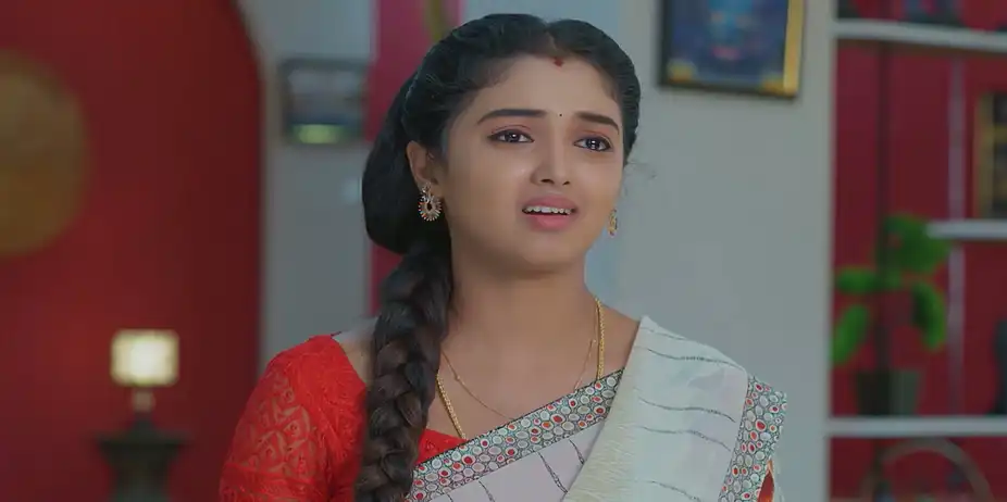 Meghasandesha S1 E684 - Is Akash Really Gagan?