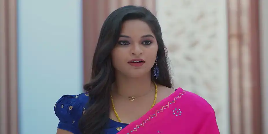 Meghasandesha S1 E685 - Akash's Words Hurt Sharada