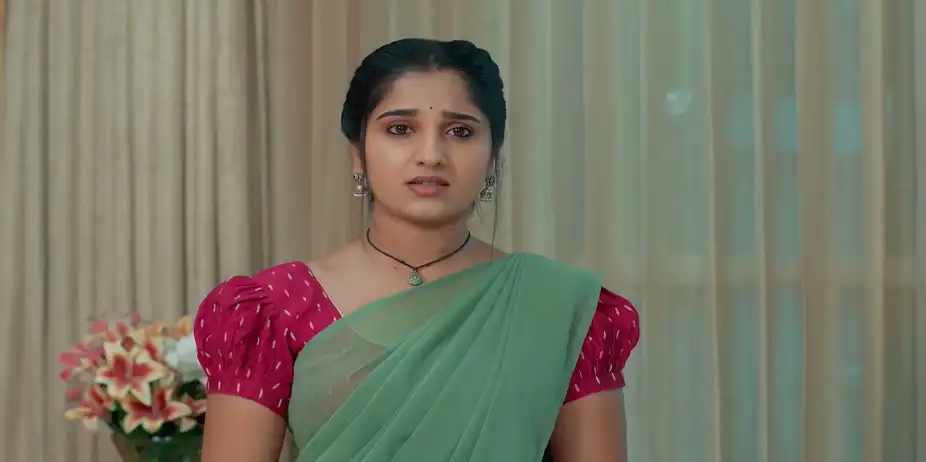 Sose Tanda Soubhagya S1 E296 - Sevanthi reads Harshavardhan's diary.