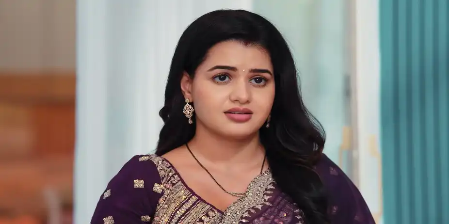 Lakshmi Nivas S1 E244 - Veer and Radhika's Honeymoon
