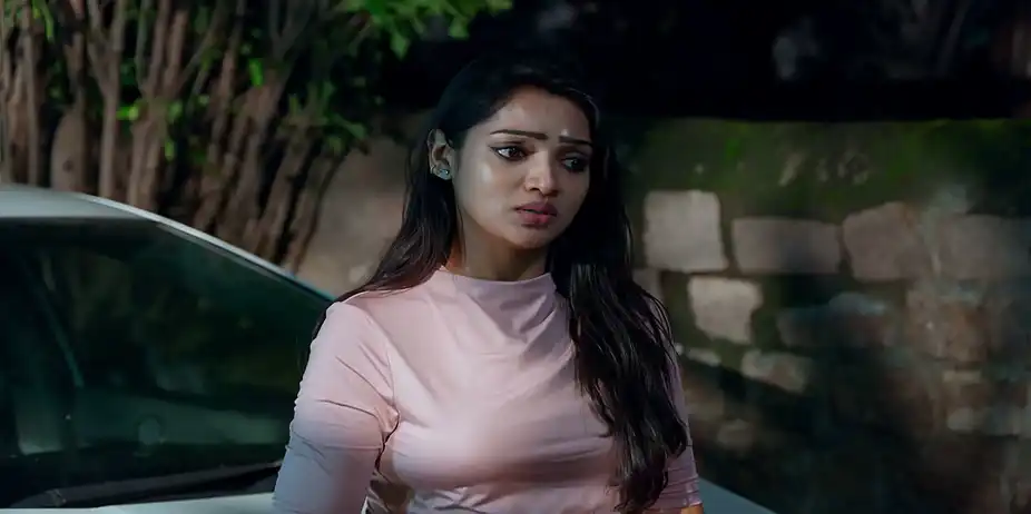 Kalavaari Kodalu Kanakamahalakshmi - September 29, 2026 - Webisode