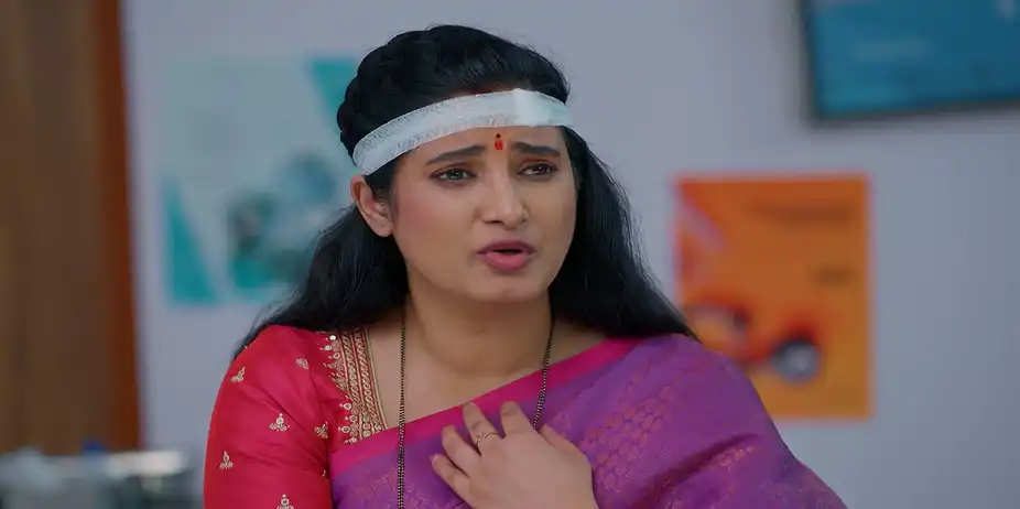 Meghasandesam - September 28, 2026 - Webisode