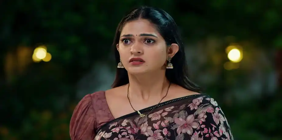 Nindu Noorella Saavasam - September 29, 2026 - Webisode