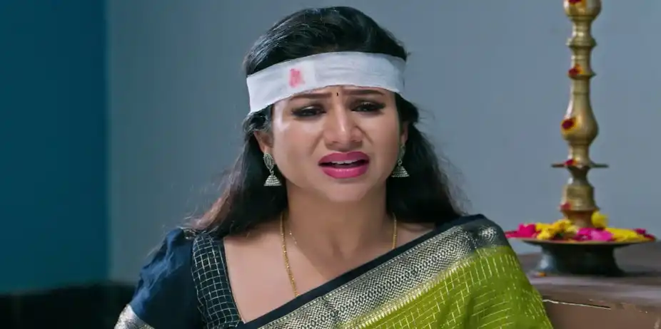Paarijatham - October 01, 2026 - Webisode