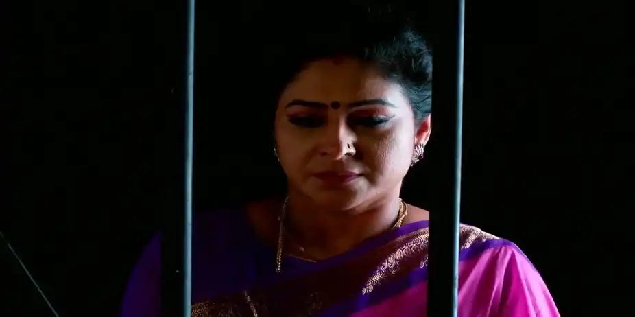 Krishna Tulasi S1 E424 - Shyama Confronts Guruvamma