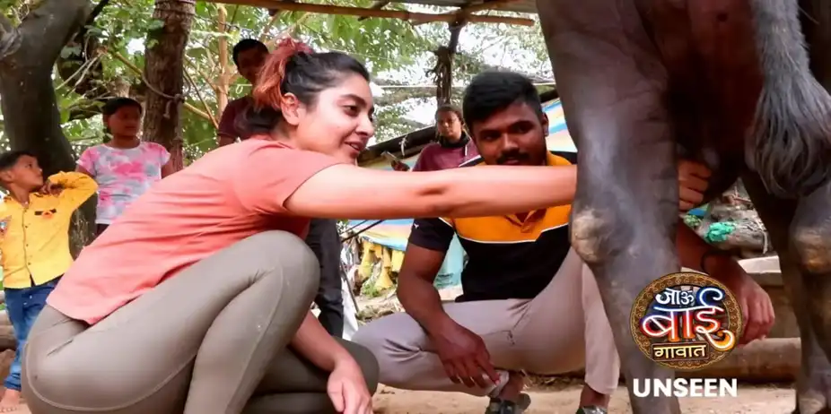 Jau Bai Gavaat - Unseen S1 E3 - The Contestants Learn to Milk a Buffalo