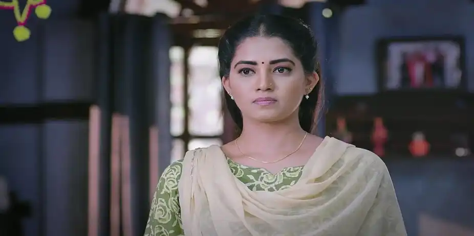 Lakshmi Nivasa S1 E68 - The Changes Made by Jahnavi Irks Jayanth