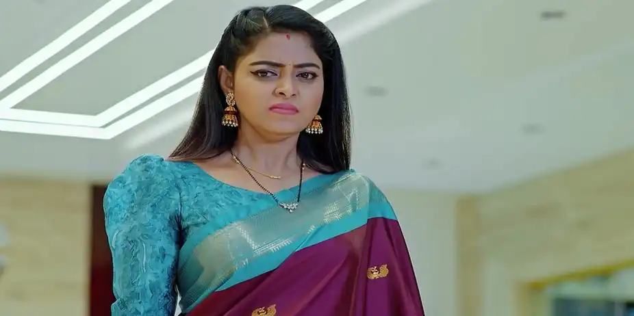 Jagadhatri - 11 May, 2024