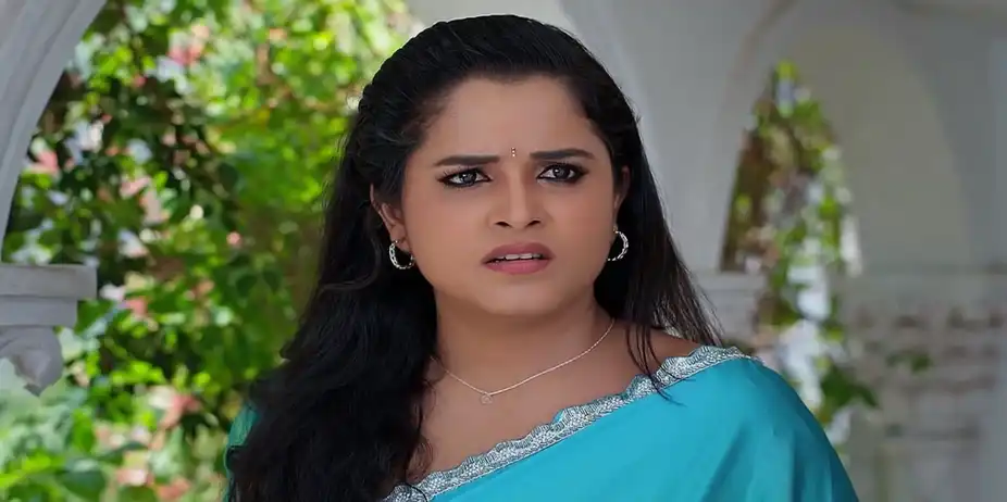 Nindu Noorella Saavasam - 25 May, 2024