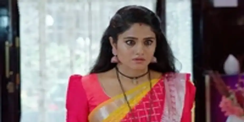 Jagadhatri - 23 May, 2024