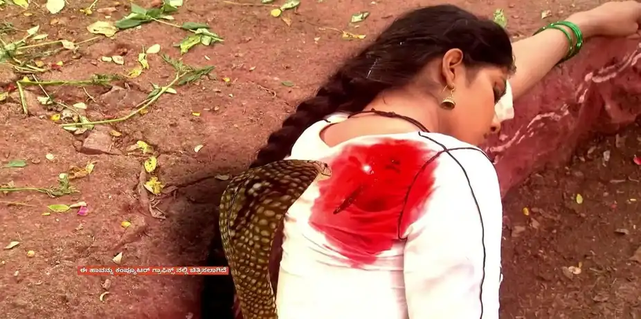 Naagamandala - 20 May, 2024