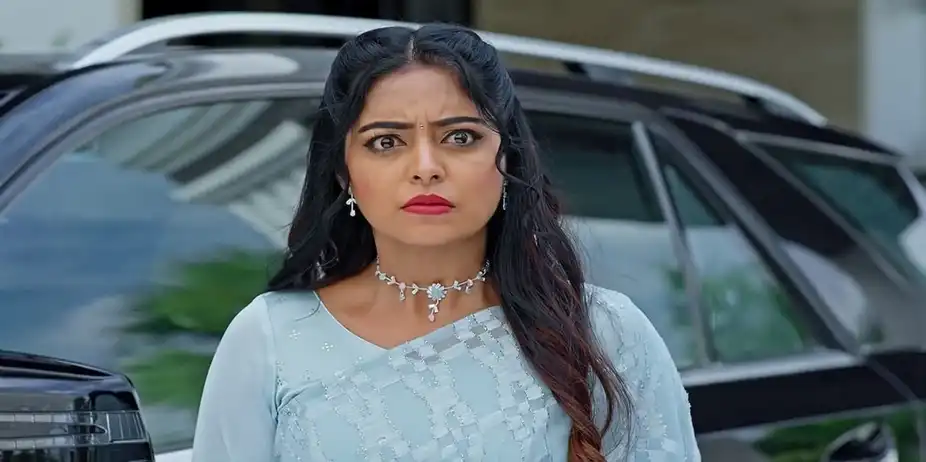 Jagadhatri - 03 June, 2024