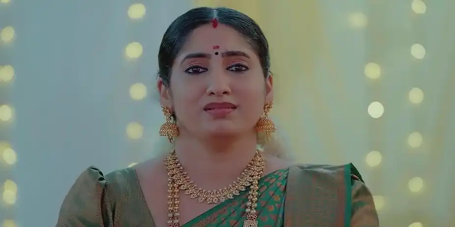Karthik Misunderstands Meenakshi | Valsalyam