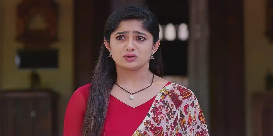 The Villagers Learn about Ramalakshmi's Wedding | Padamati Sandhyaragam