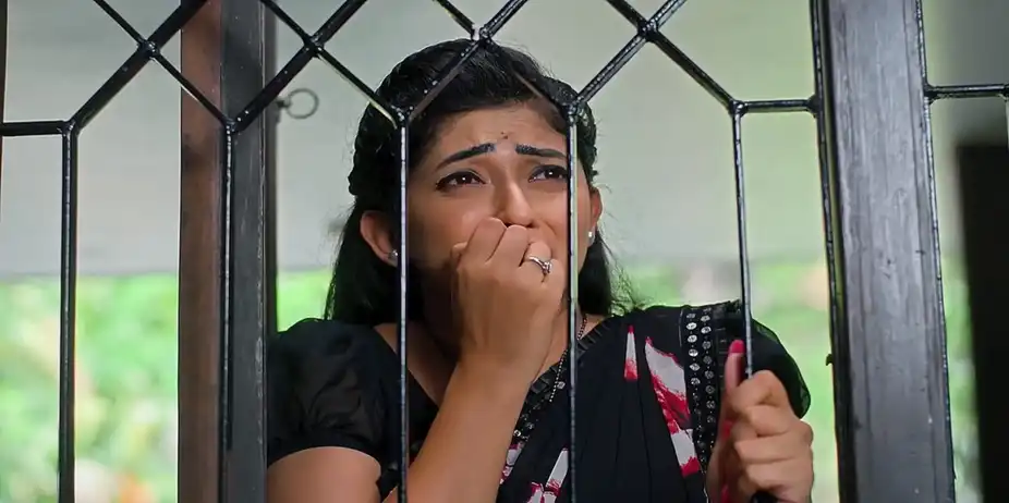 Nindu Noorella Saavasam - 10 July, 2024