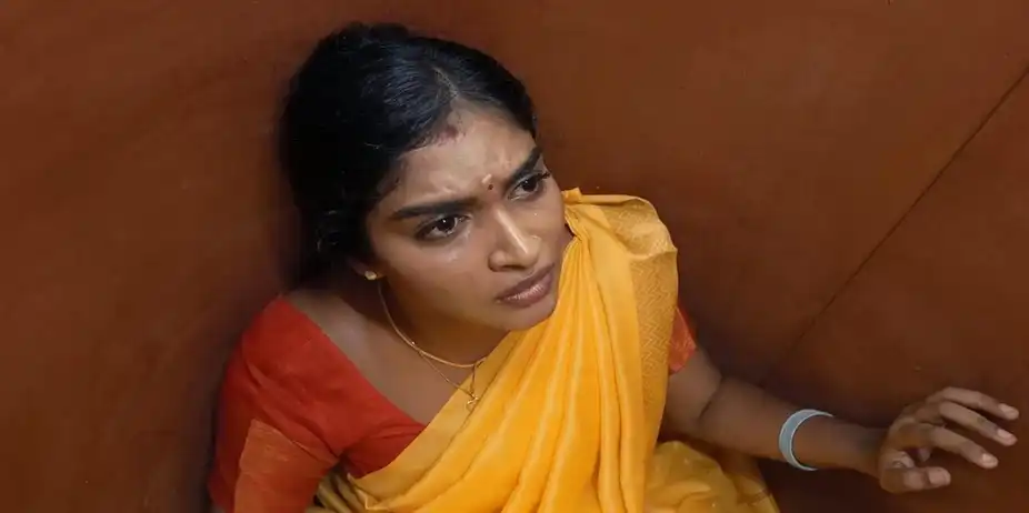 Karthigai Deepam - 09 July, 2024
