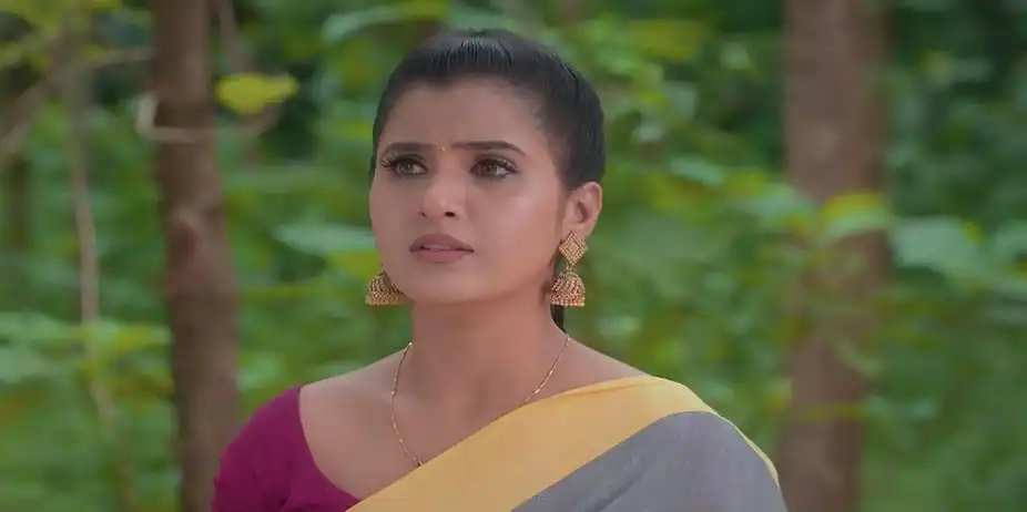 Karthigai Deepam - July 11, 2024 - Best Scene