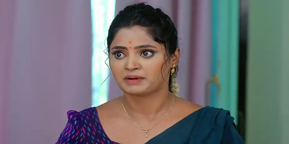 Janaki Ramayya Gari Manavaralu - July 20, 2024 - Episode Spoiler
