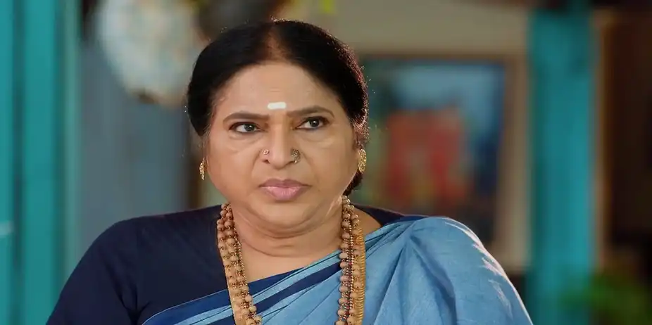 Maa Annayya - July 20, 2024 - Episode Spoiler