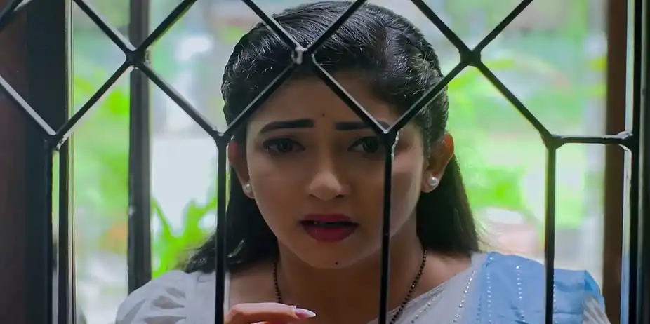 Nindu Noorella Saavasam - 17 July, 2024