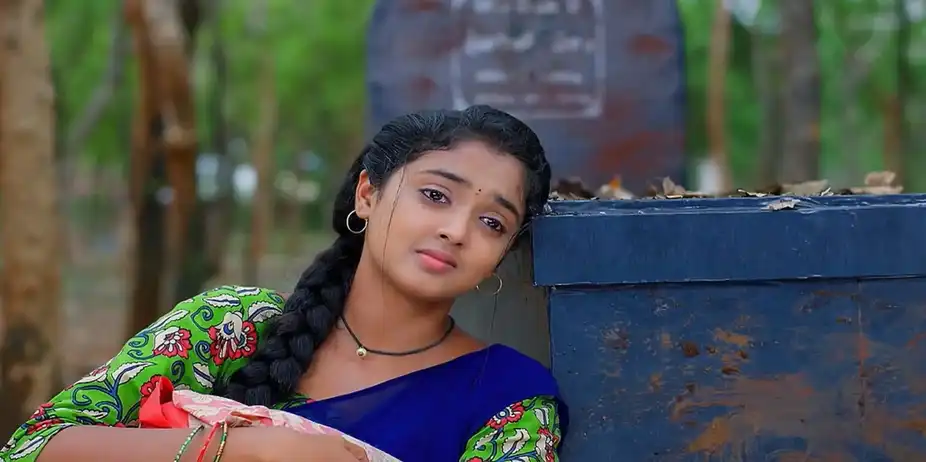 Meghasandesam - July 16, 2024 - Episode Spoiler