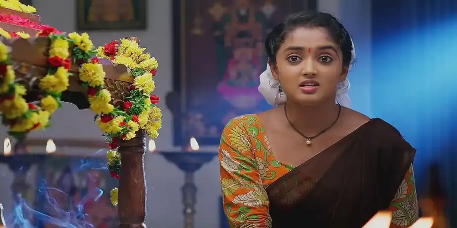 Meghasandesam - July 17, 2024 - Best Scene